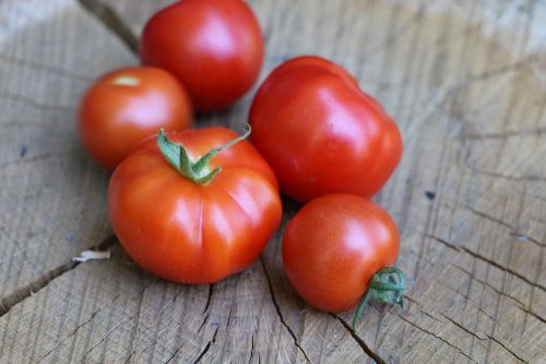 reife, rote Tomaten