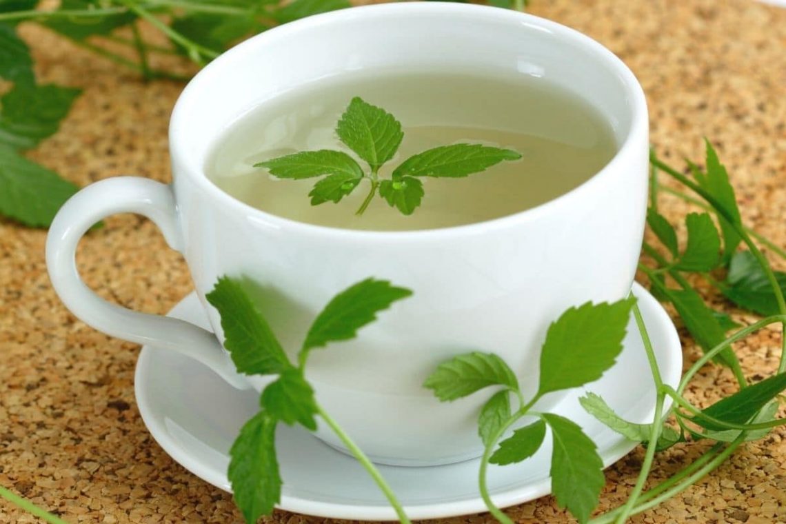 Tasse frisch aufgebrühter Jiaogulan-Tee mit Blättern