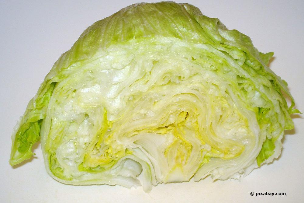 Eisbergsalat ist eine beliebte Salatsorte