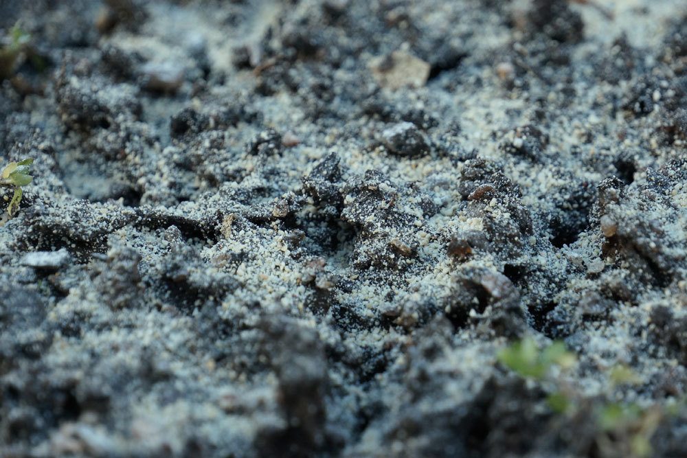 Algenkalk dient der Bodenverbesserung