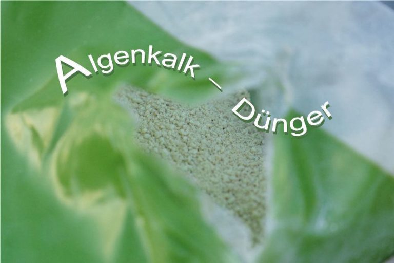 Algenkalk-Dünger: Anwendungen im Garten