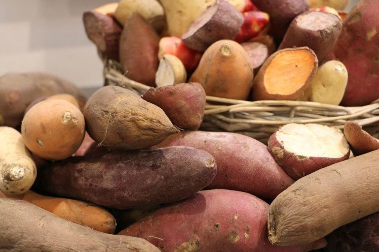 Kartoffelsorten, die besten Sorten im Überblick