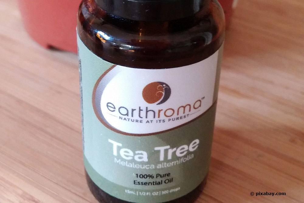 Teebaumöl zur Schädlingsbekämpfung
