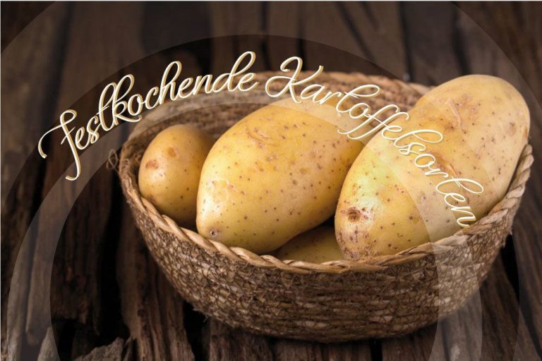 Kartoffeln hochbeet - Die besten Kartoffeln hochbeet ausführlich verglichen!
