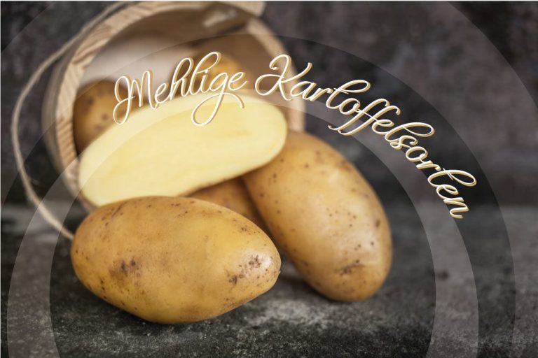 Mehlige Kartoffelsorten