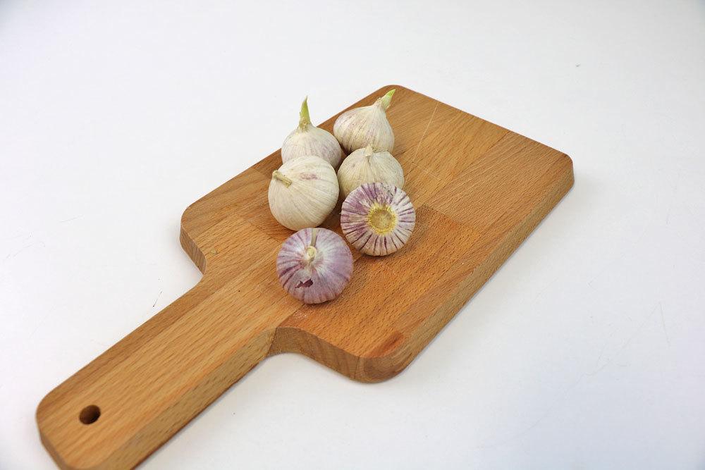 Chinesischer Knoblauch, Allium sativum 'Solo garlic'