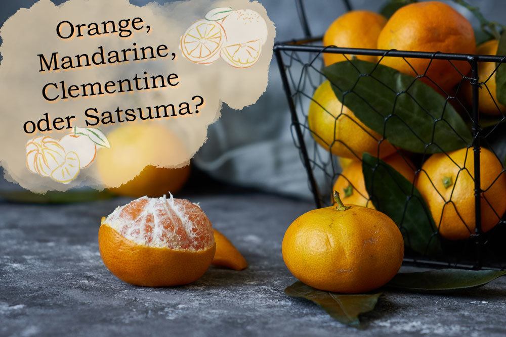 Mandarinen, Clementinen, Satsuma oder Orange?