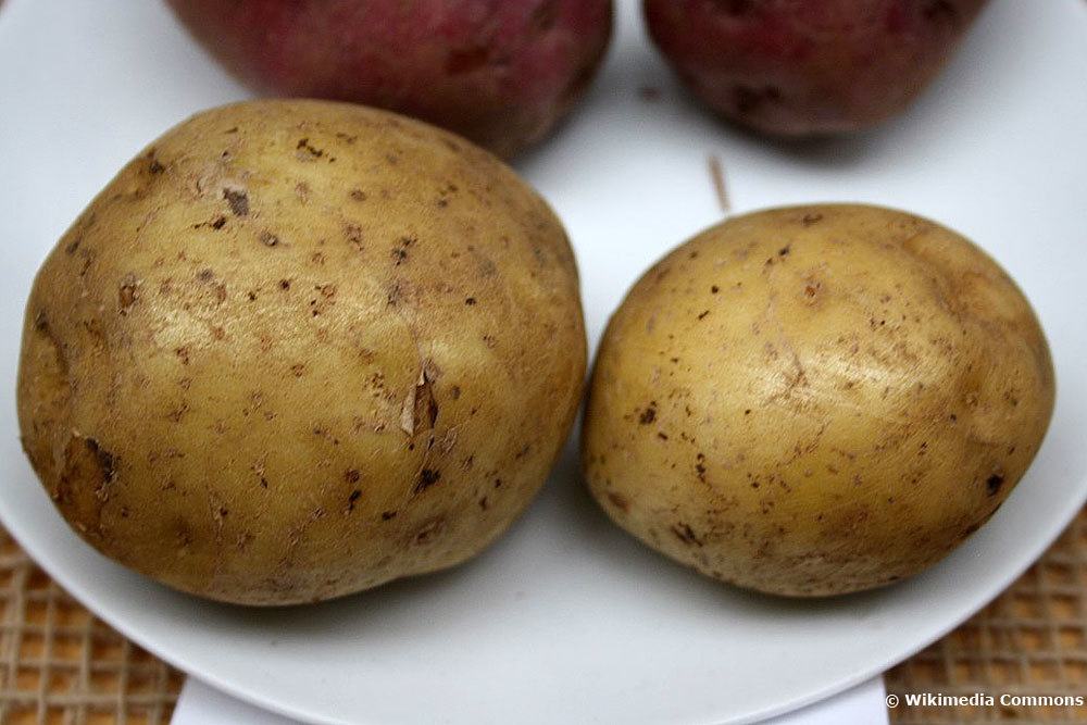Kartoffelsorte Adretta