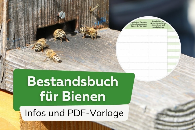 Bestandsbuch für Bienen: Infos und PDF-Vorlage