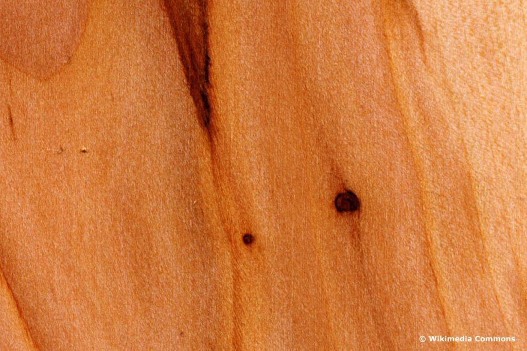 Birnbaum Holz