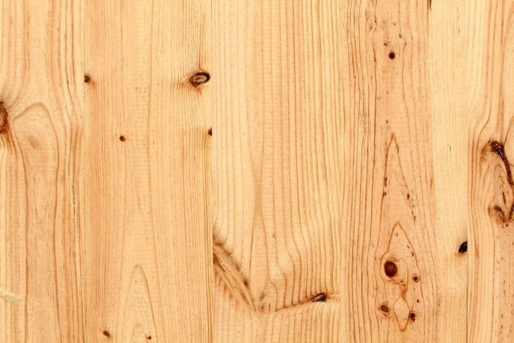 Pinienholz, Holz