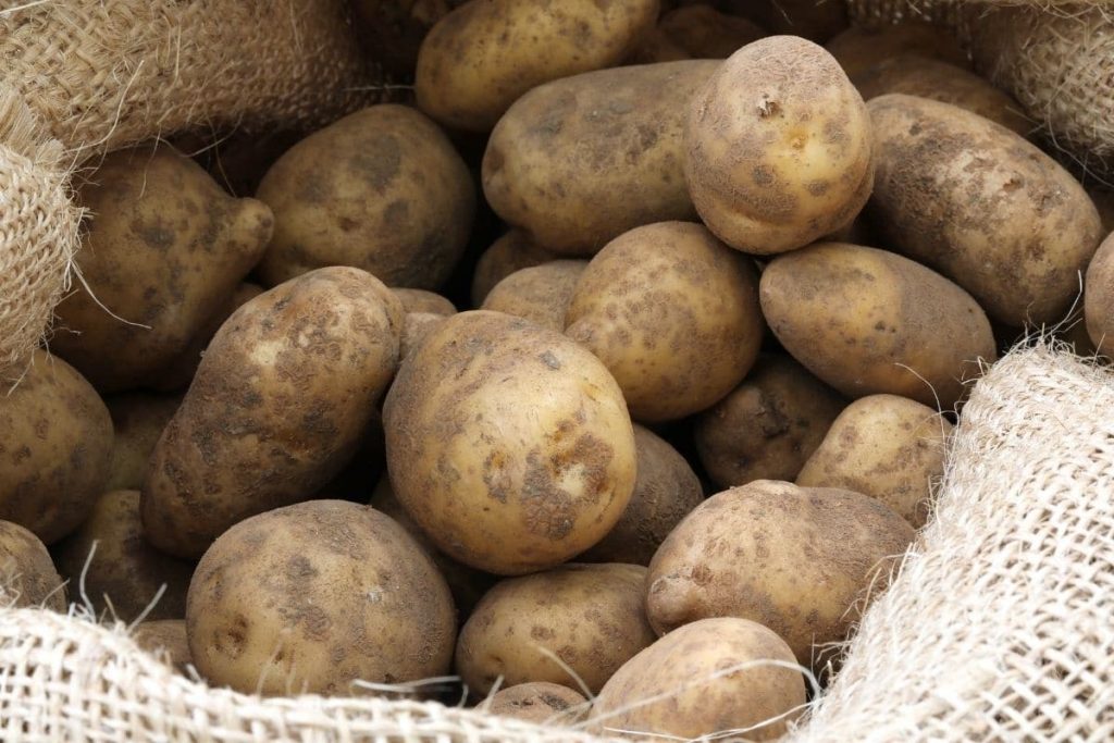 Kartoffeln in Jutesäcken lagern