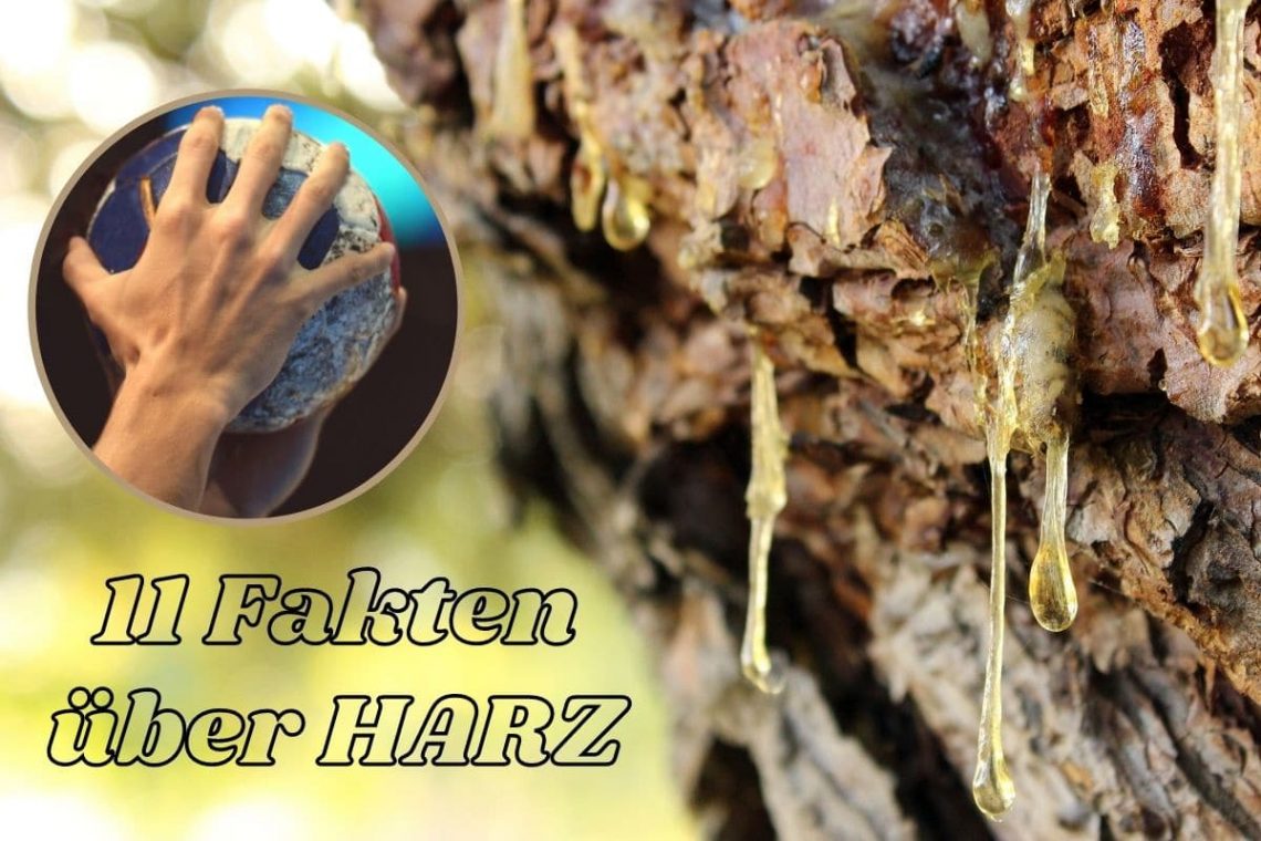 11 Fakten über Harz