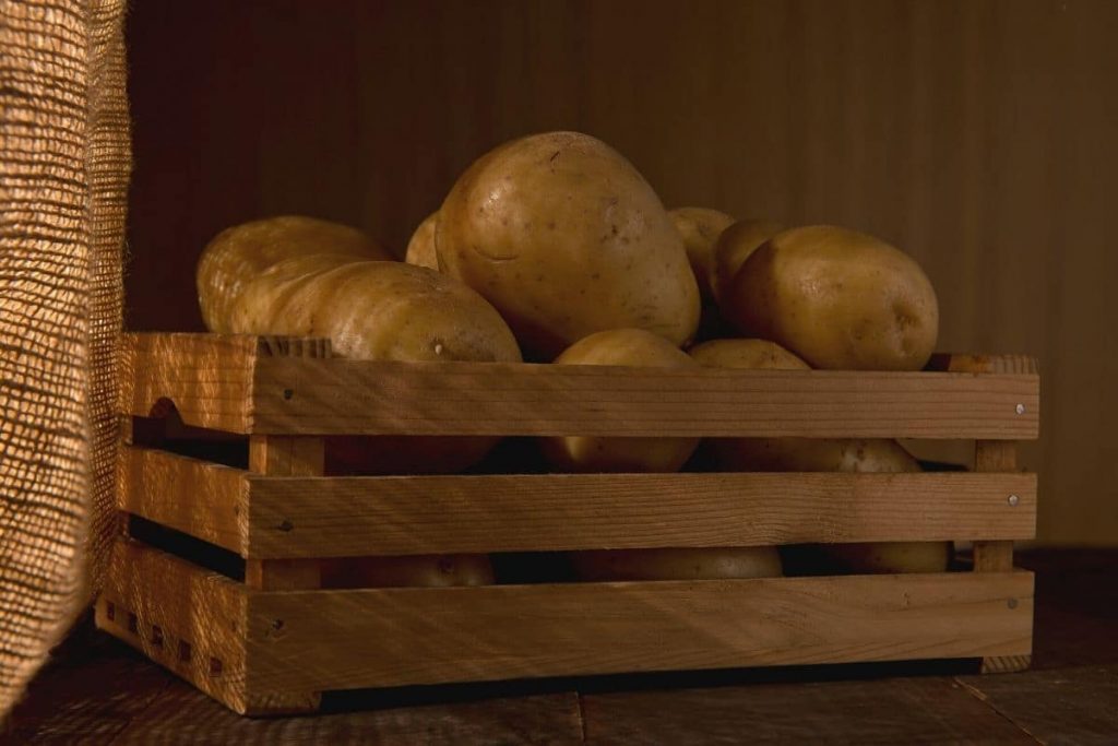 Welche Punkte es bei dem Kauf die Kartoffel hochbeet zu analysieren gibt