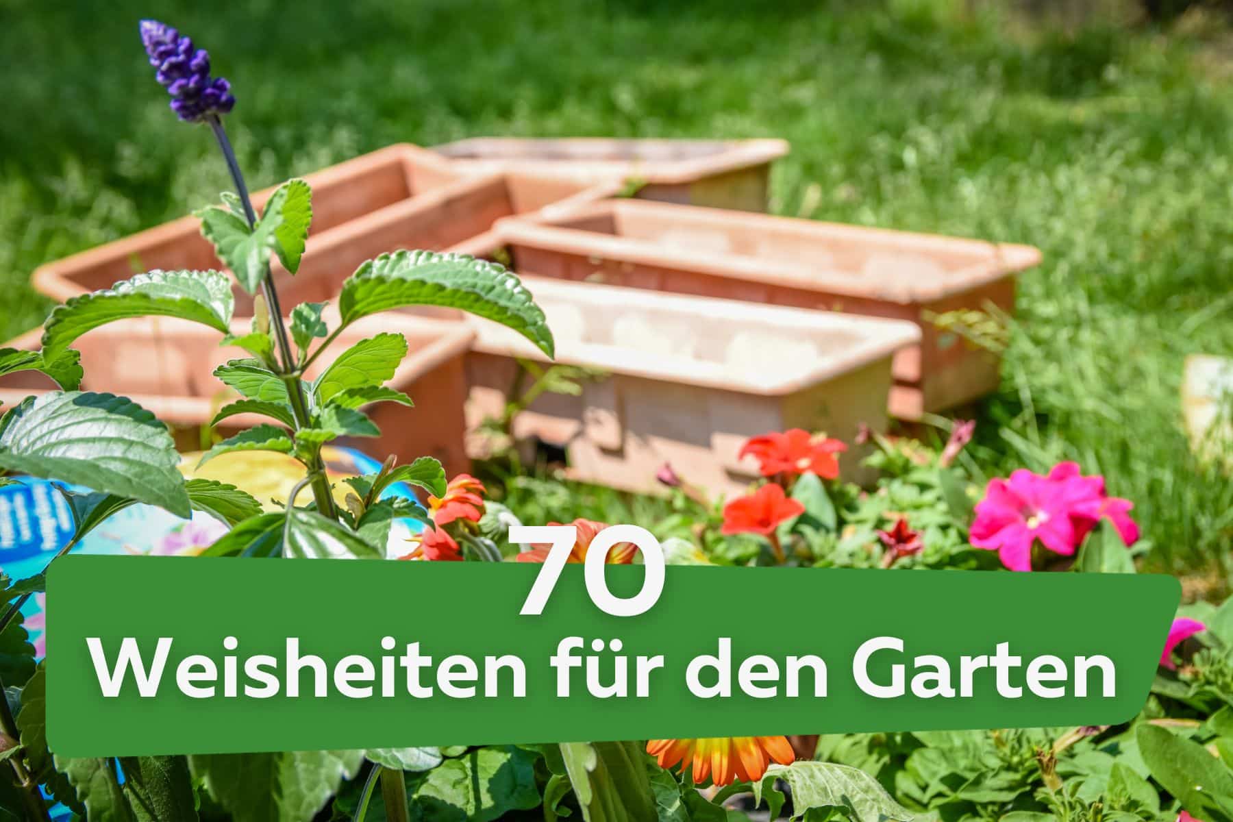 Sprüche für den Garten: 70 Weisheiten