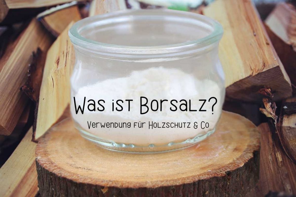 Was ist Borsalz? | Verwendung für Holzschutz & Co - Titelbild