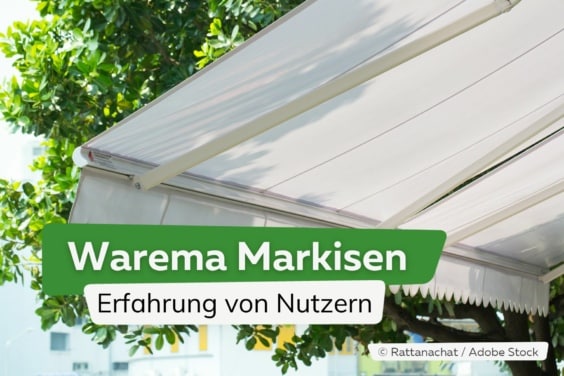 Warema Markisen: Erfahrung von Nutzern | Weiße Markise vor einem Baum