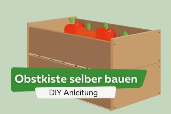 Obstkiste selber bauen: DIY Apfelstiege