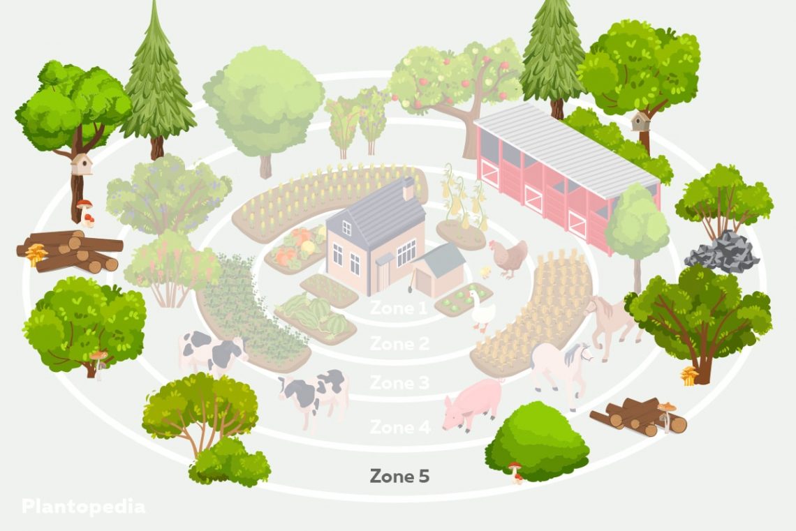 Permakultur-Garten - Zone 5 - Naturzone