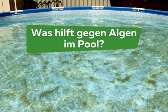 Was hilft gegen Algen im Pool Titel