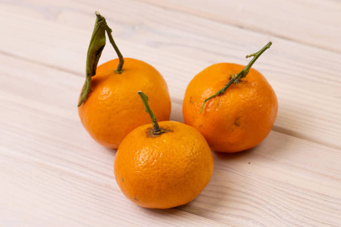 Mandarinen (Citrus reiculata)