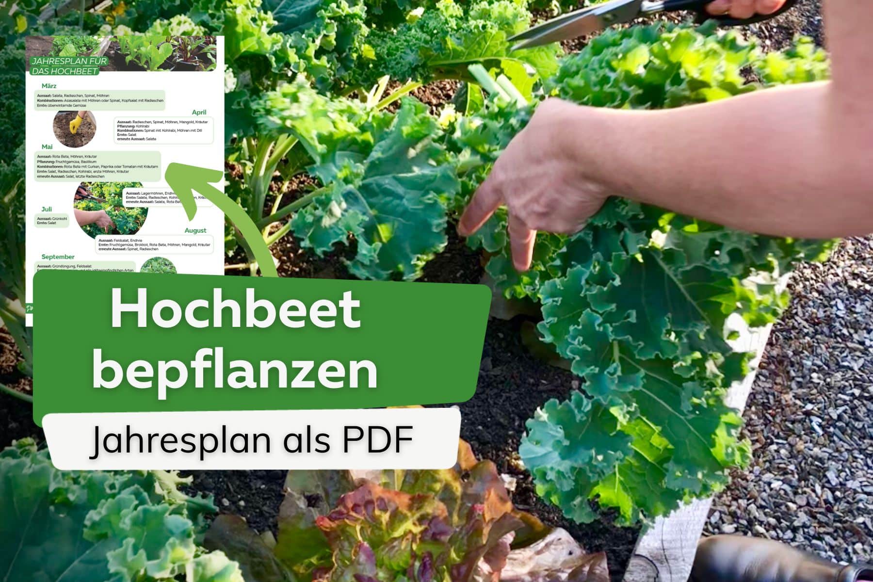 Hochbeet bepflanzen Jahresplan PDF Titel
