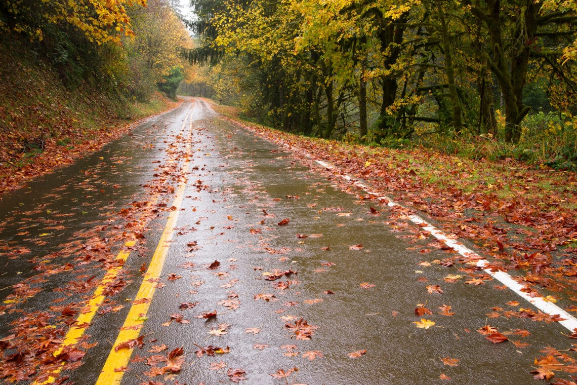 Straße die durch einen Wald geht im Herbst