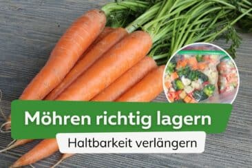 Möhren lagern: So bleiben Karotten länger haltbar