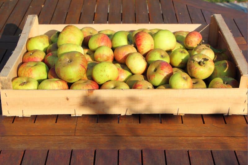 Obstkiste aus Holz mit Äpfel