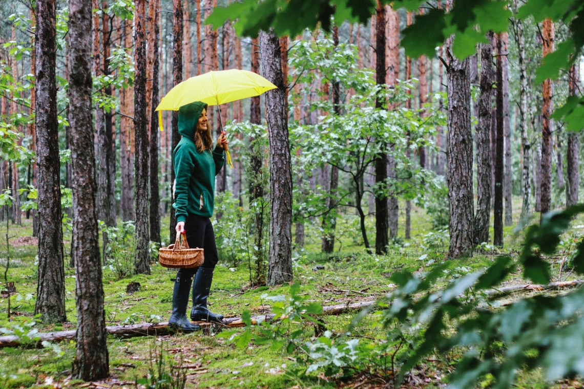 Pilzsammlerin mit Regenschirm im Wald