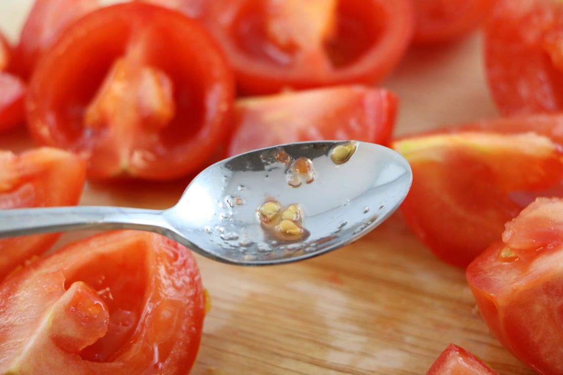 Tomatensamen auf einem Löffel