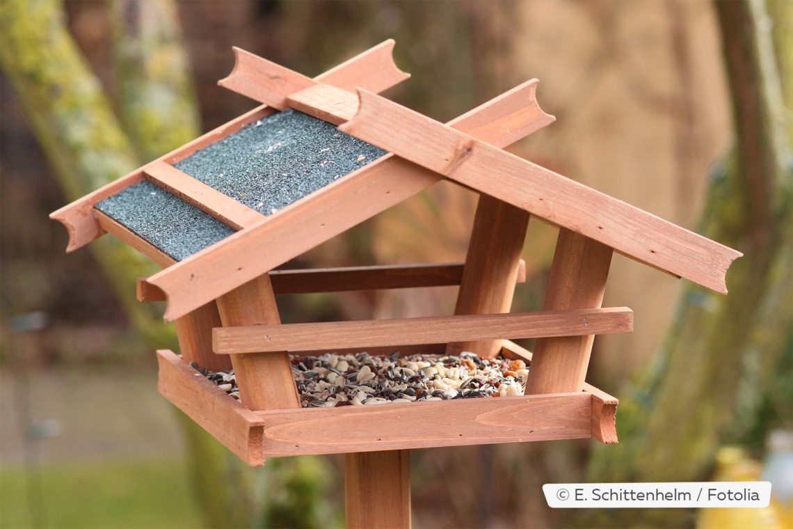 Vogelfutterhaus mit Samen