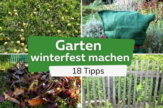 Garten winterfest machen: Checkliste mit 18 Tipps