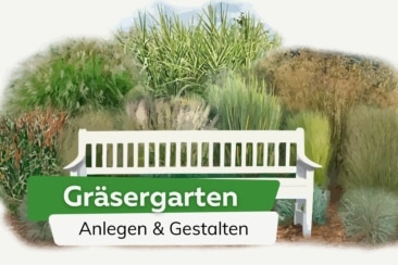 Gräsergarten anlegen & gestalten: Pflanzplan